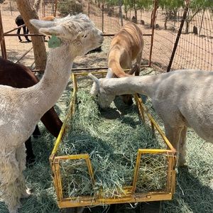 Bundle !!! @nordysanda